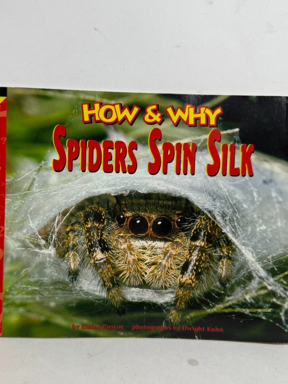 How & Why Spiders Spin Silk by Elaine Pascoe Dwight Kuhn CTP 2968 Paperback Book